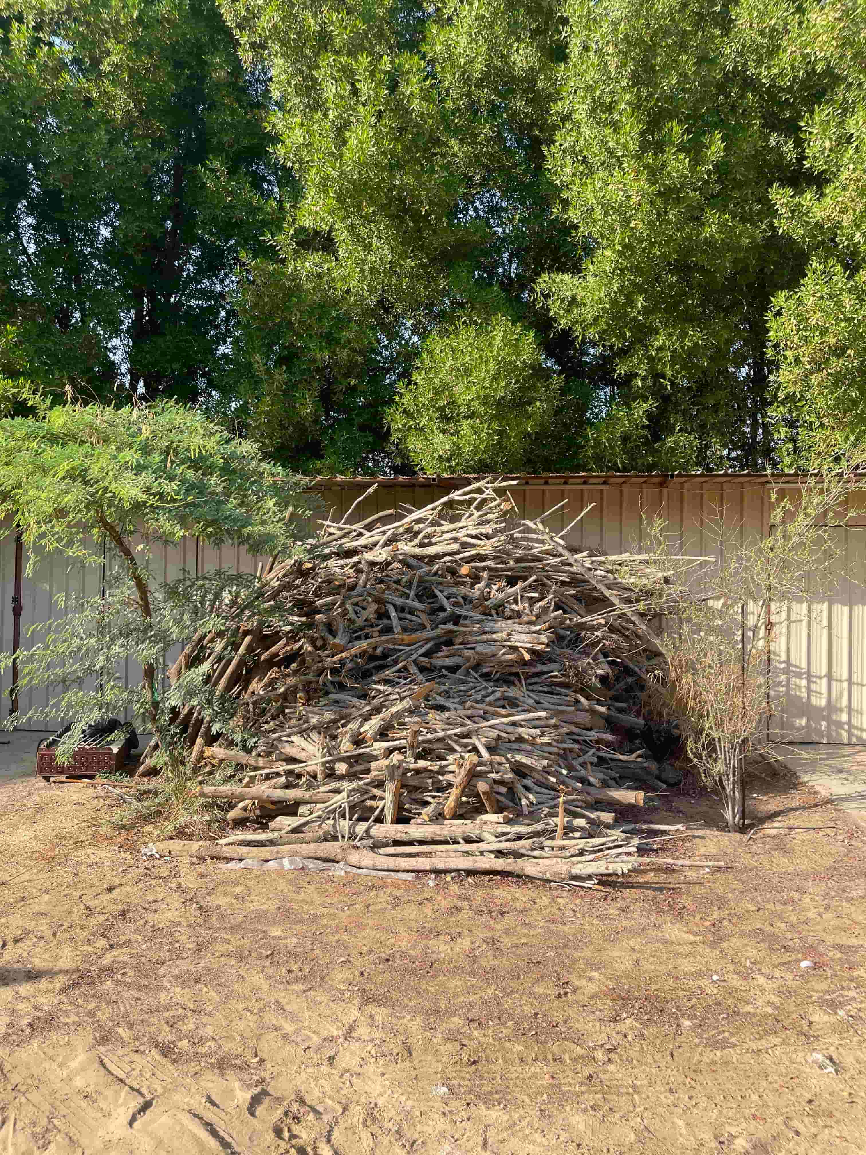 للبيع حطب اثل وكونكاربس