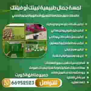 Garden coordination and maintenance in Kuwait