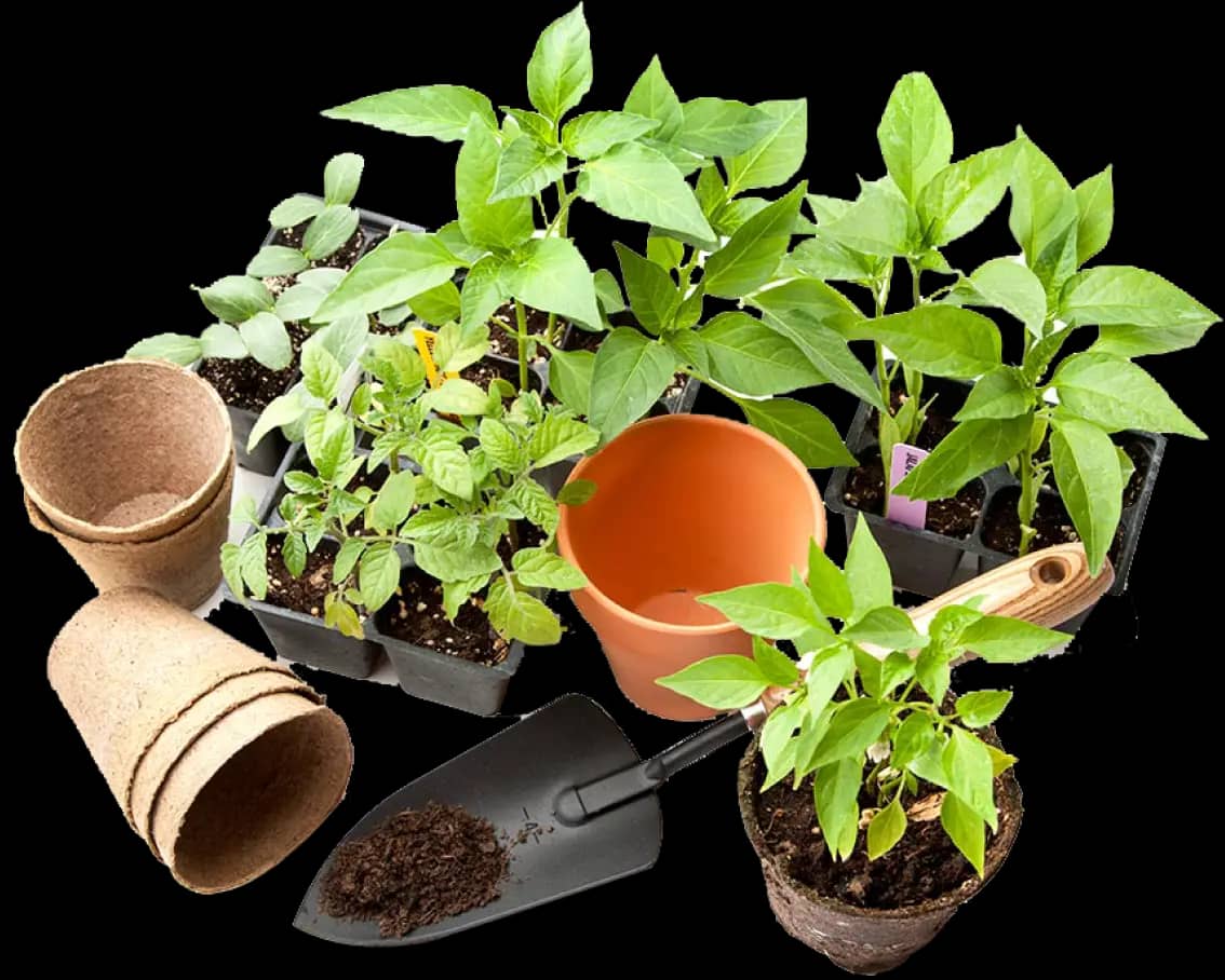 Greenhouses & Gardens