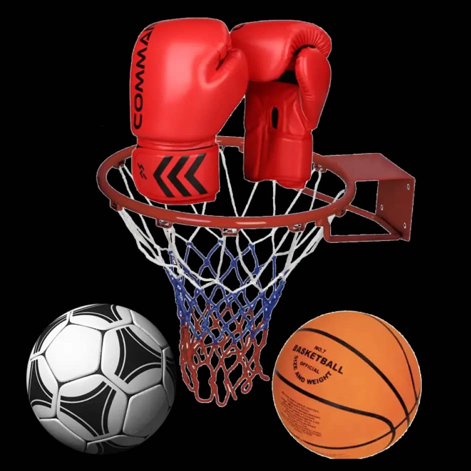 Sports & Hobbies