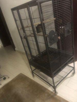 Bird cage for sale