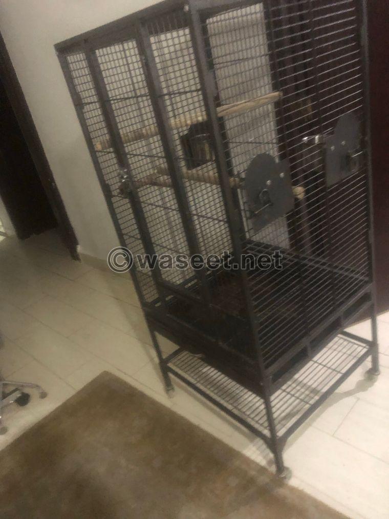 Bird cage for sale 0