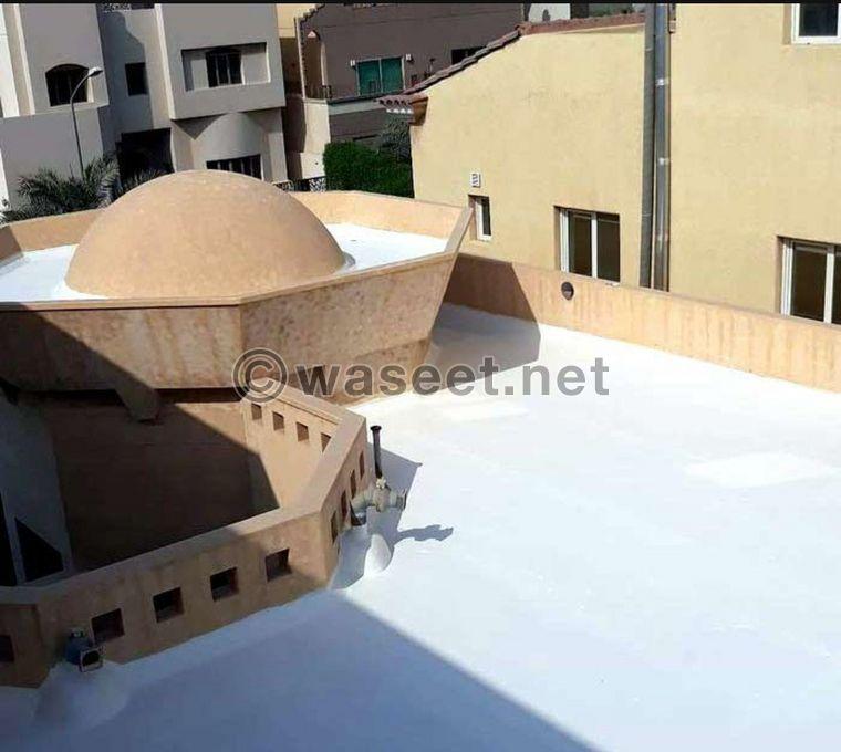 Guitar roof insulation, American workshop and Tarbal 4