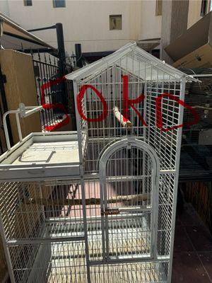 Large bird cages