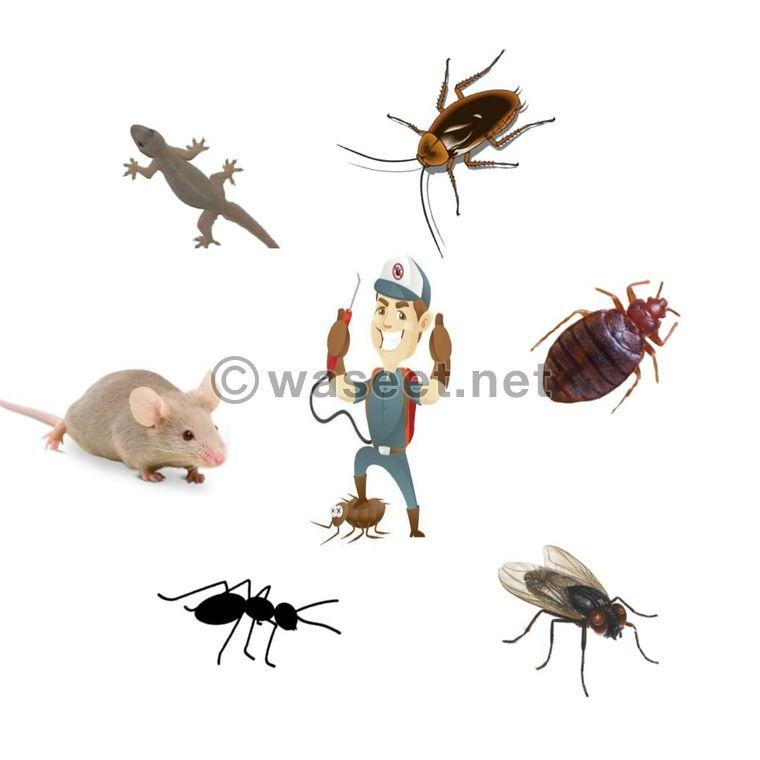  pest control 7