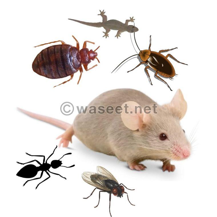  pest control 8