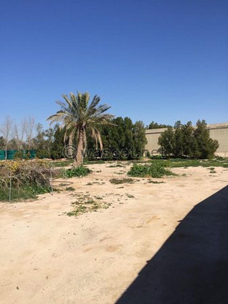 Farms are required for rent in Abdali  1