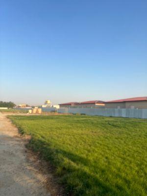 For rent a farm in Wafra 