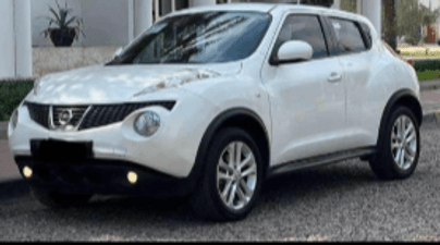 Nissan Juke 2013