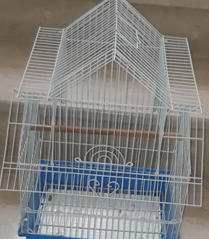 small size bird cage 