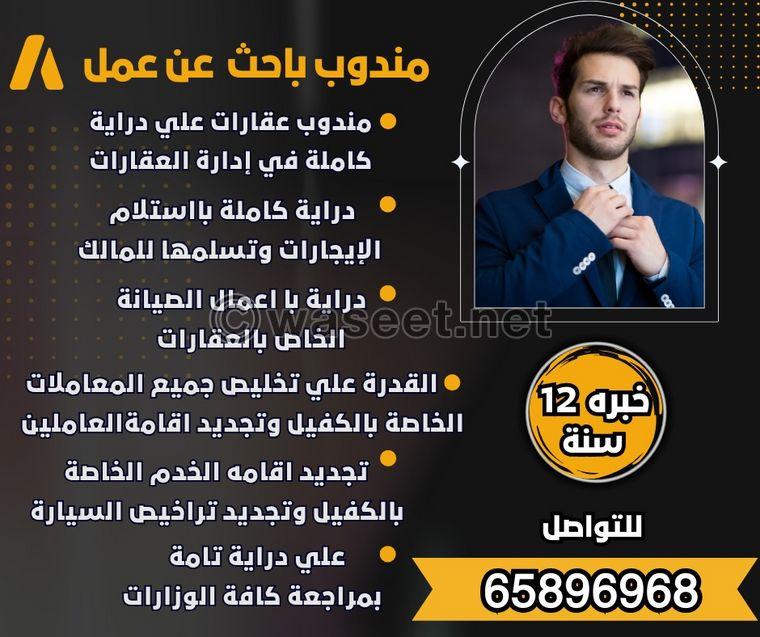 مندوب عقارات أطلب عملا  0