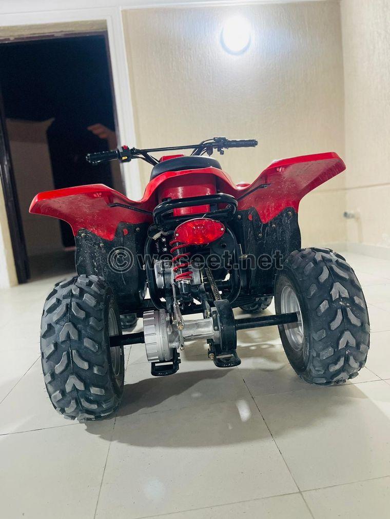 Buggy for sale new 3