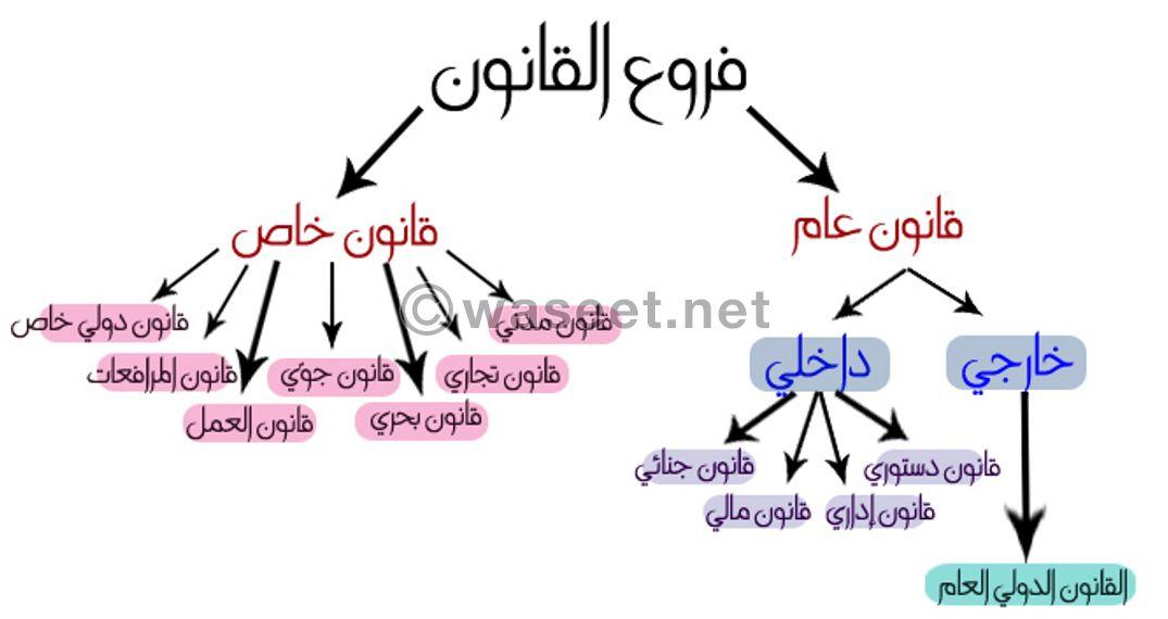 Teaching the curricula of the Faculty of Law 1