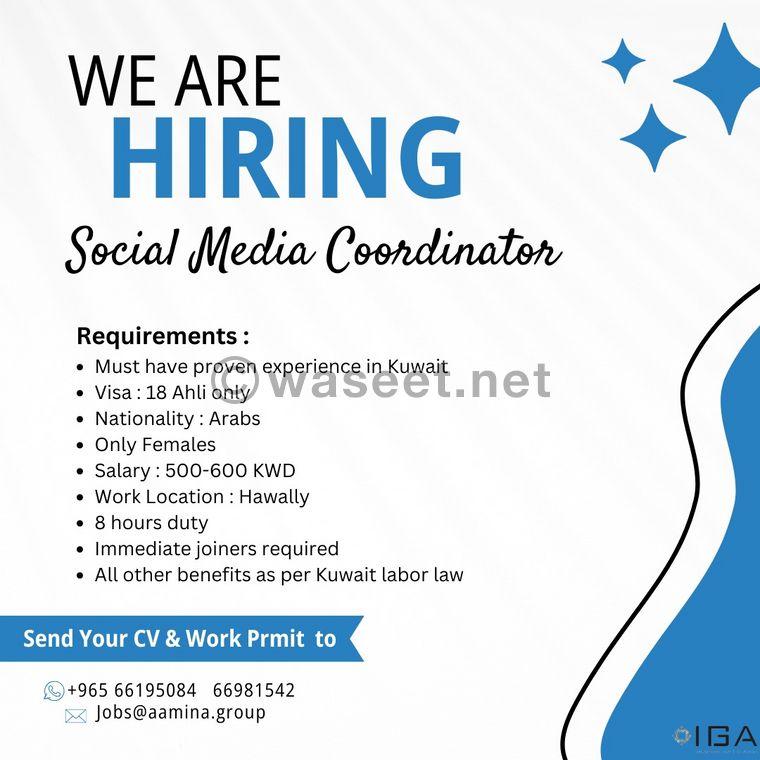 HIRING FEMALE SOCIAL MEDIA COORDINATOR 0