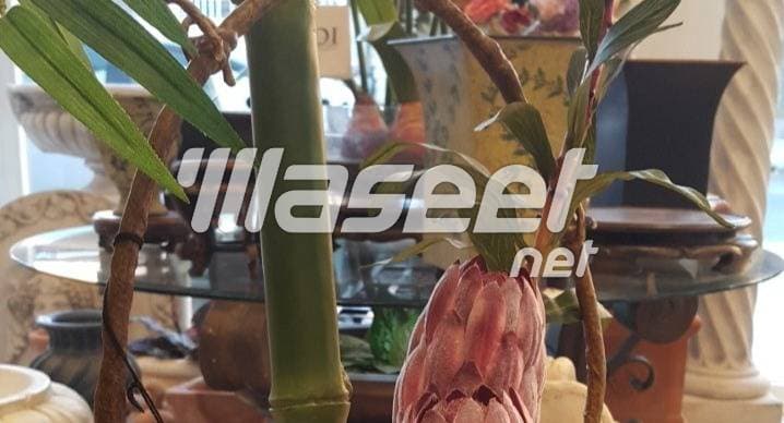 ديكورات في الحدائق 8