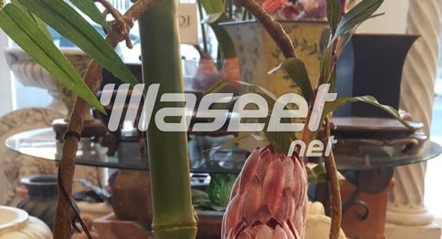 ديكورات في الحدائق