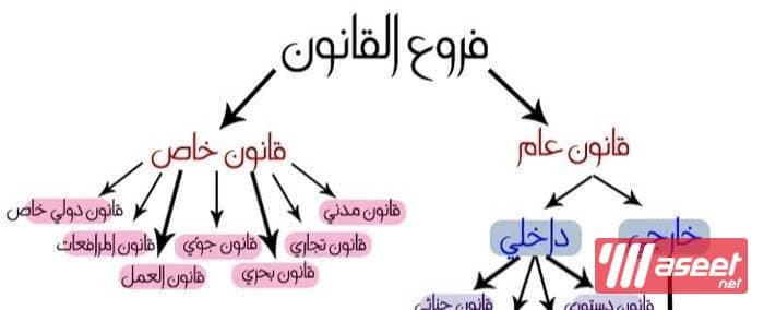 Law teacher for law school students 1