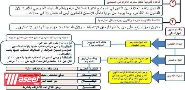 Law teacher for law school students