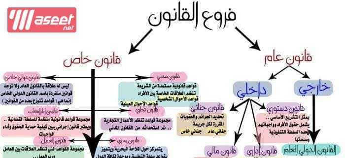 Law teacher for law school students 4