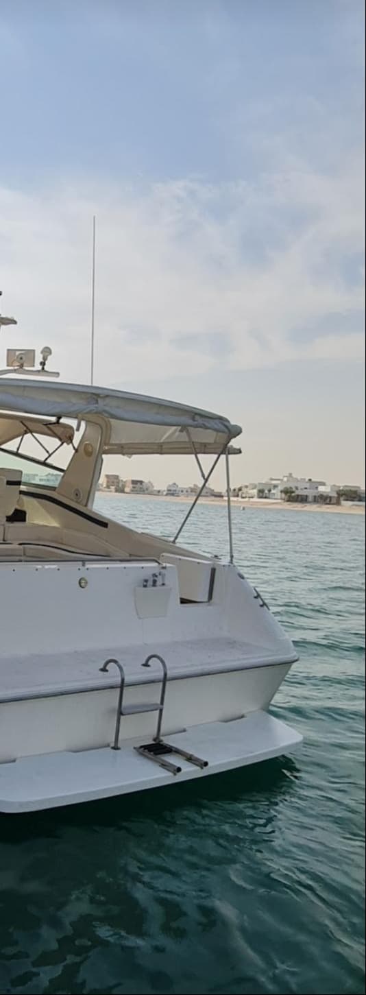 Sea Ray Sun Dancer Boat 10