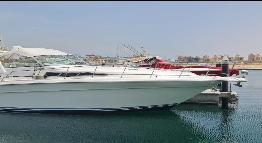 Sea Ray Sun Dancer Boat 0