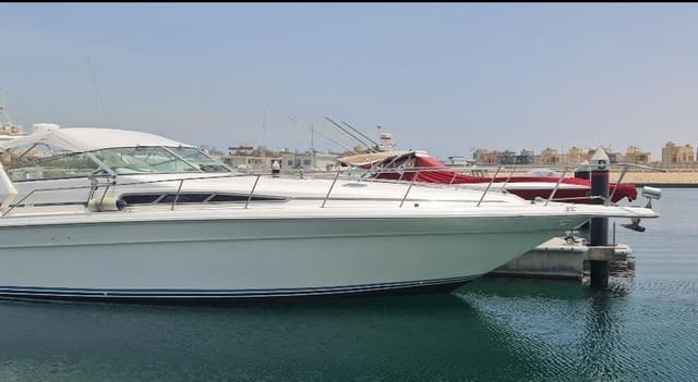 Sea Ray Sun Dancer Boat