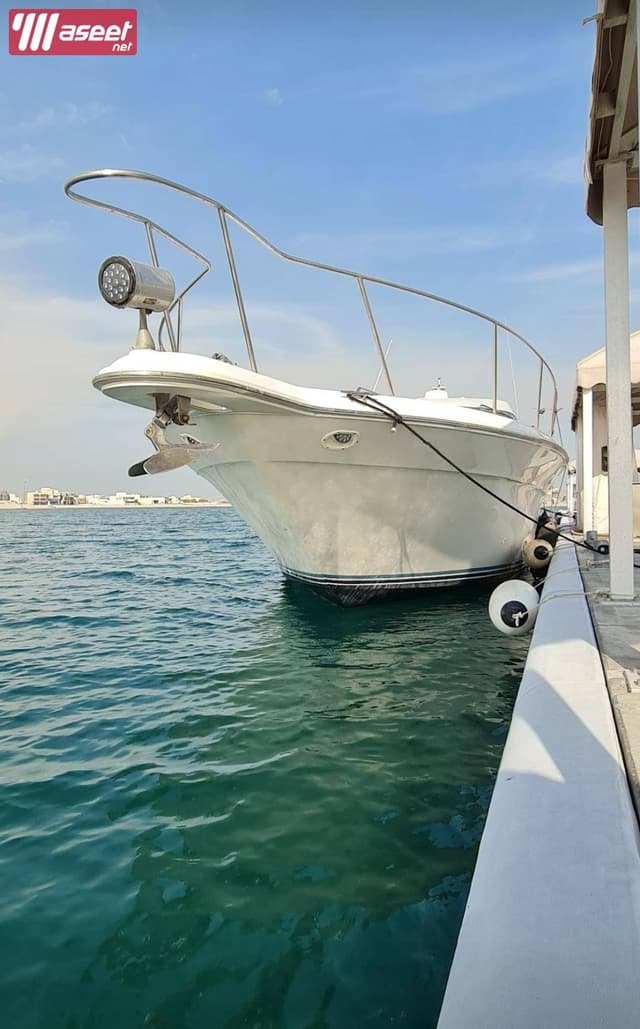 Sea Ray Sun Dancer Boat