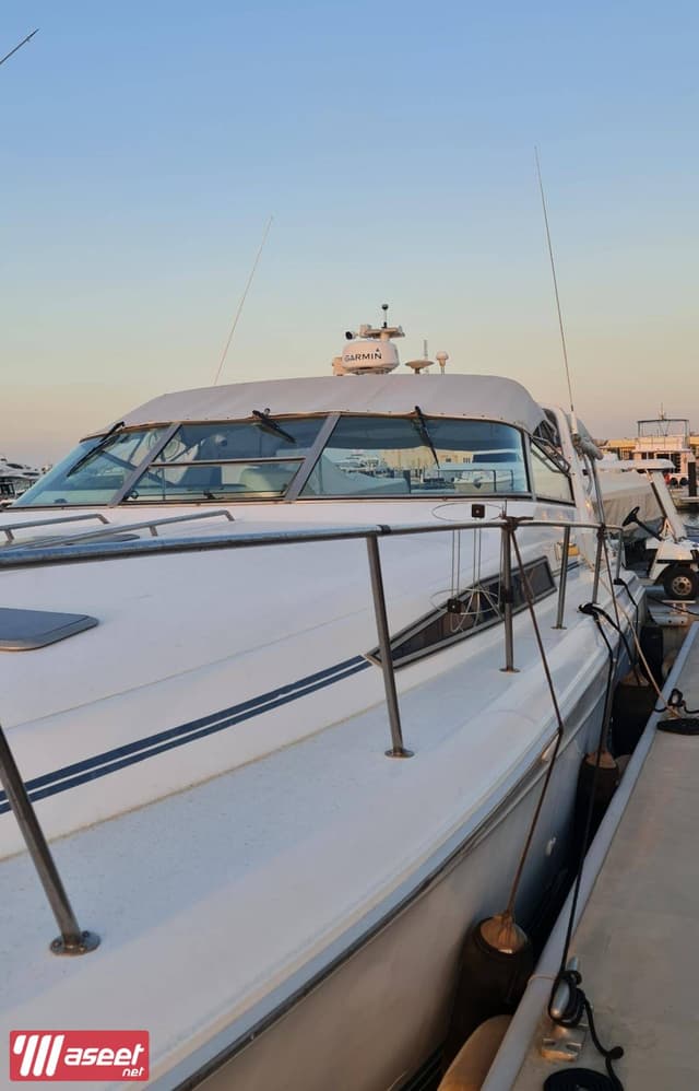 Sea Ray Sun Dancer Boat