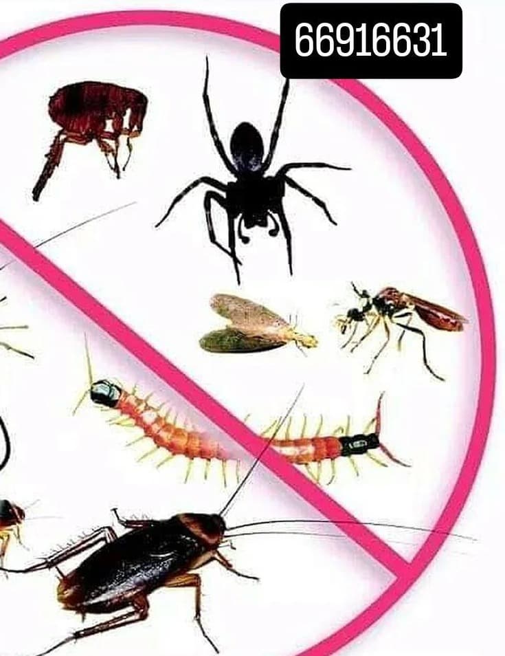 Al Deera Pest and Rodent Control Company  0