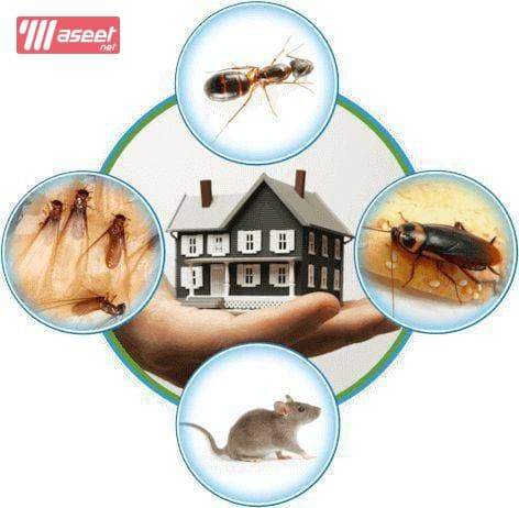 Al Deera Pest and Rodent Control Company  3