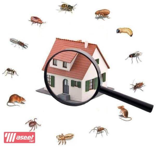 Al Deera Pest and Rodent Control Company  4