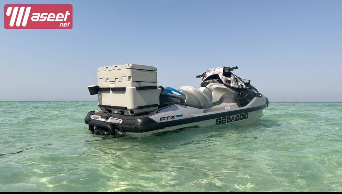 Seido GTX 300 2