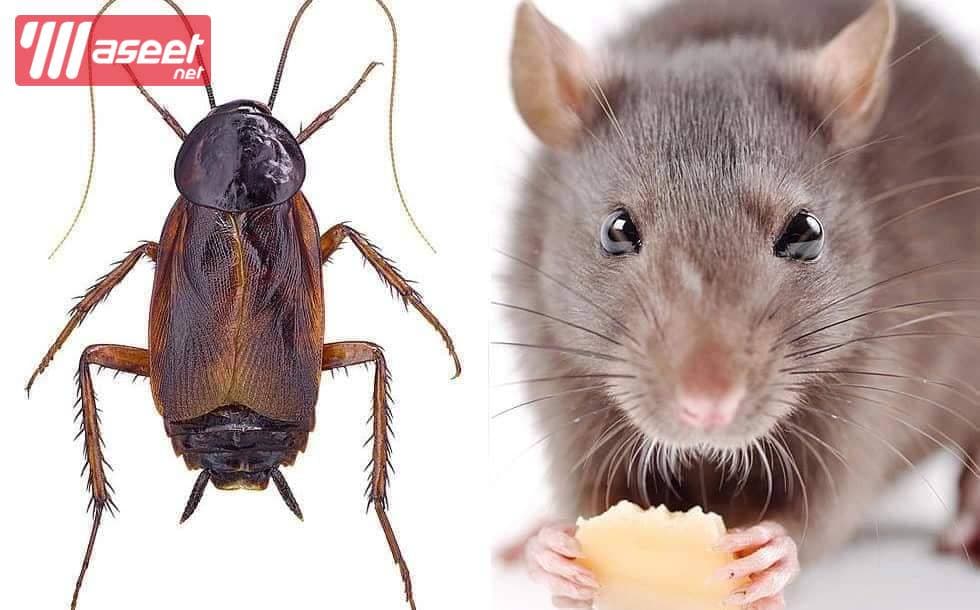 Pest control company 2