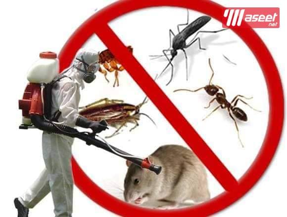 Pest control company 6