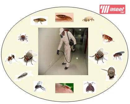 Pest control company 7
