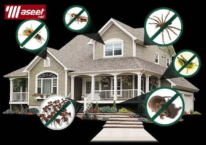 Pest control company 8