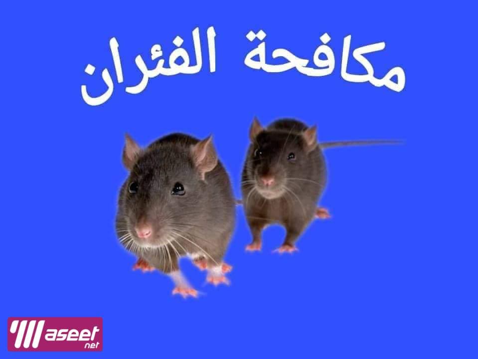 Pest control company 9