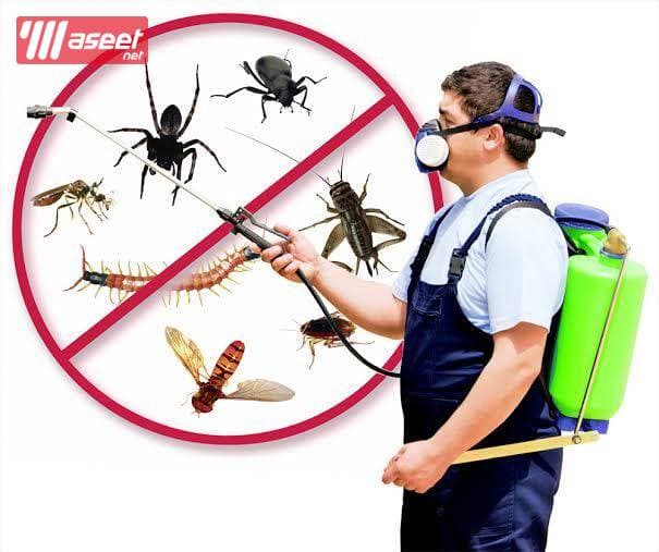 Pest control company 10