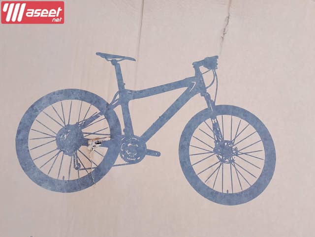 New X-twin bicycle size 27.5