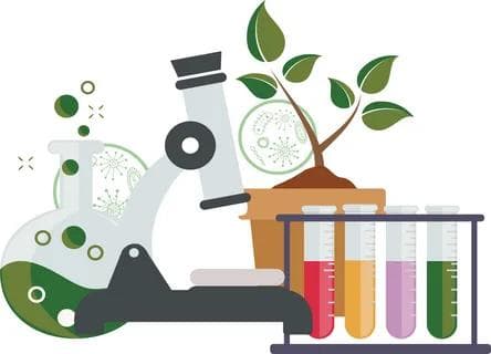 High school biology teacher