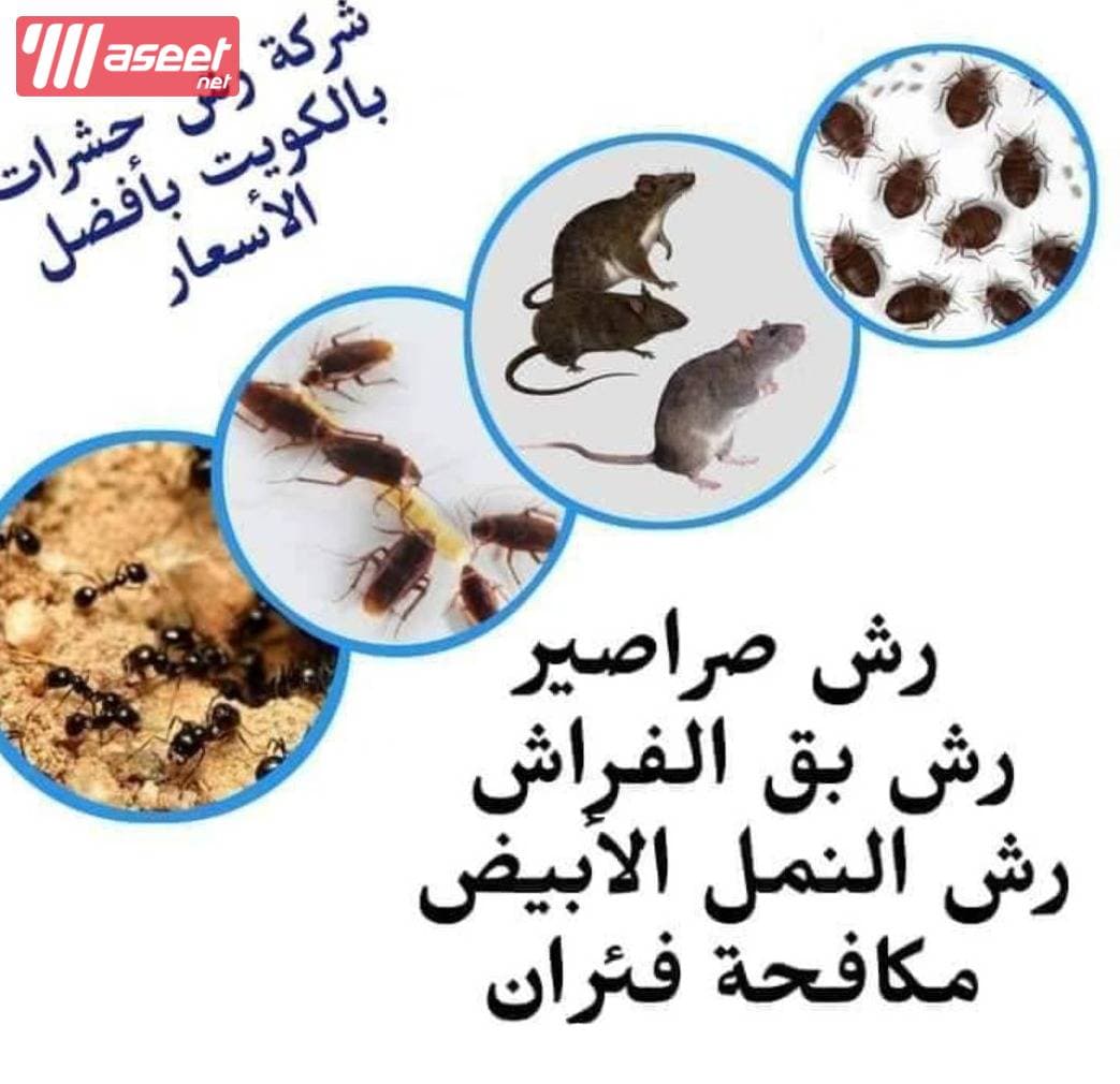 Control of insects and rodents in Kuwait 🇰🇼 5