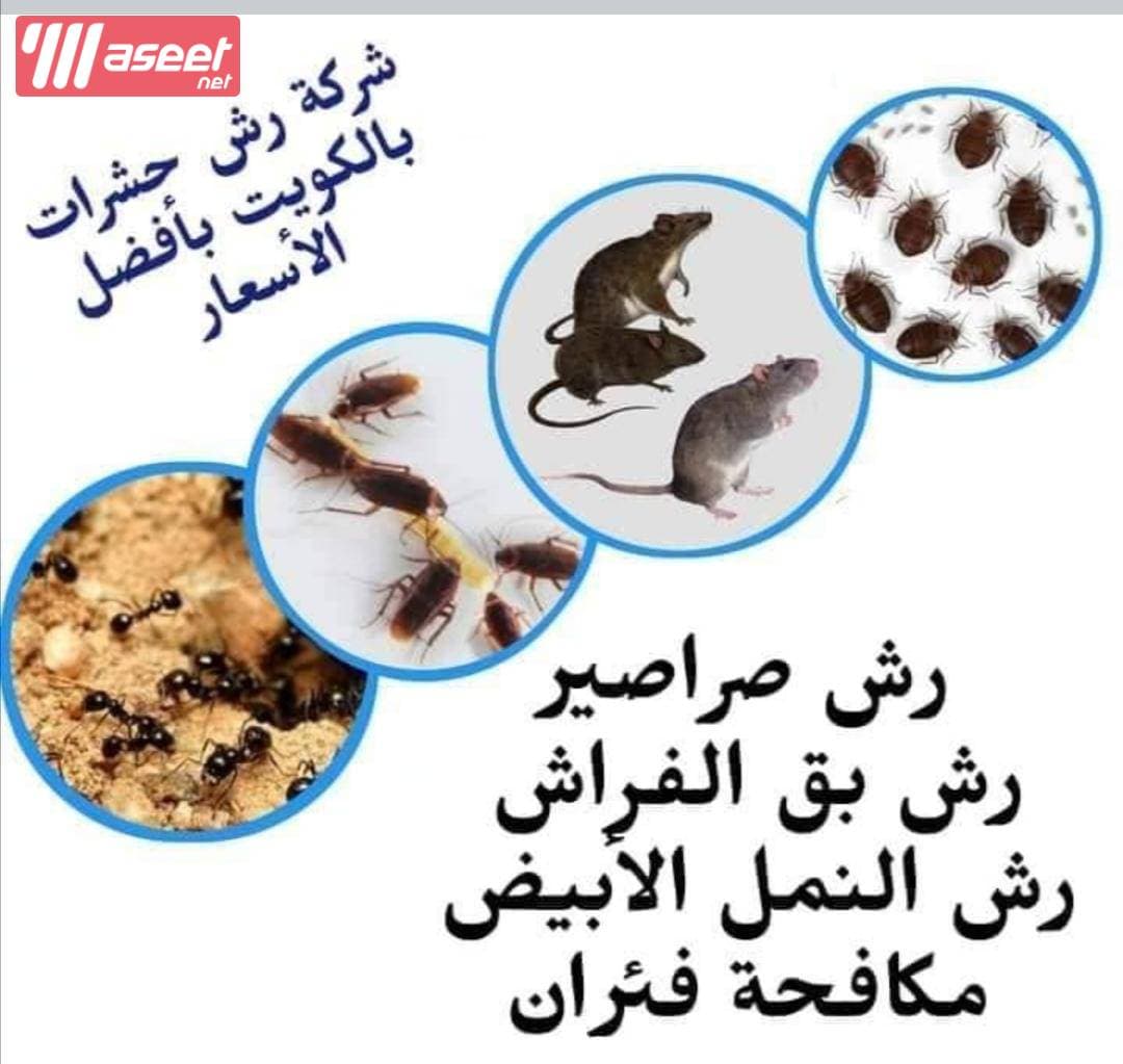 Control of insects and rodents in Kuwait 🇰🇼 2