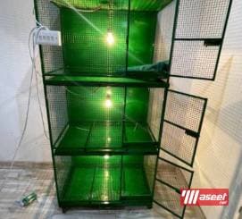 حضانات صيصان حسب الطلب 7