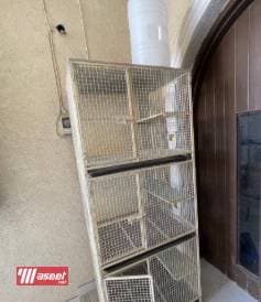 حضانات صيصان حسب الطلب 8