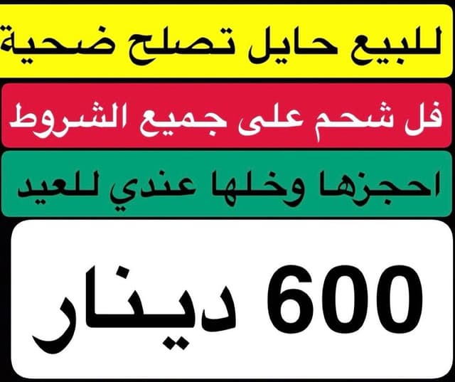 ناقه ضحية فل شحم