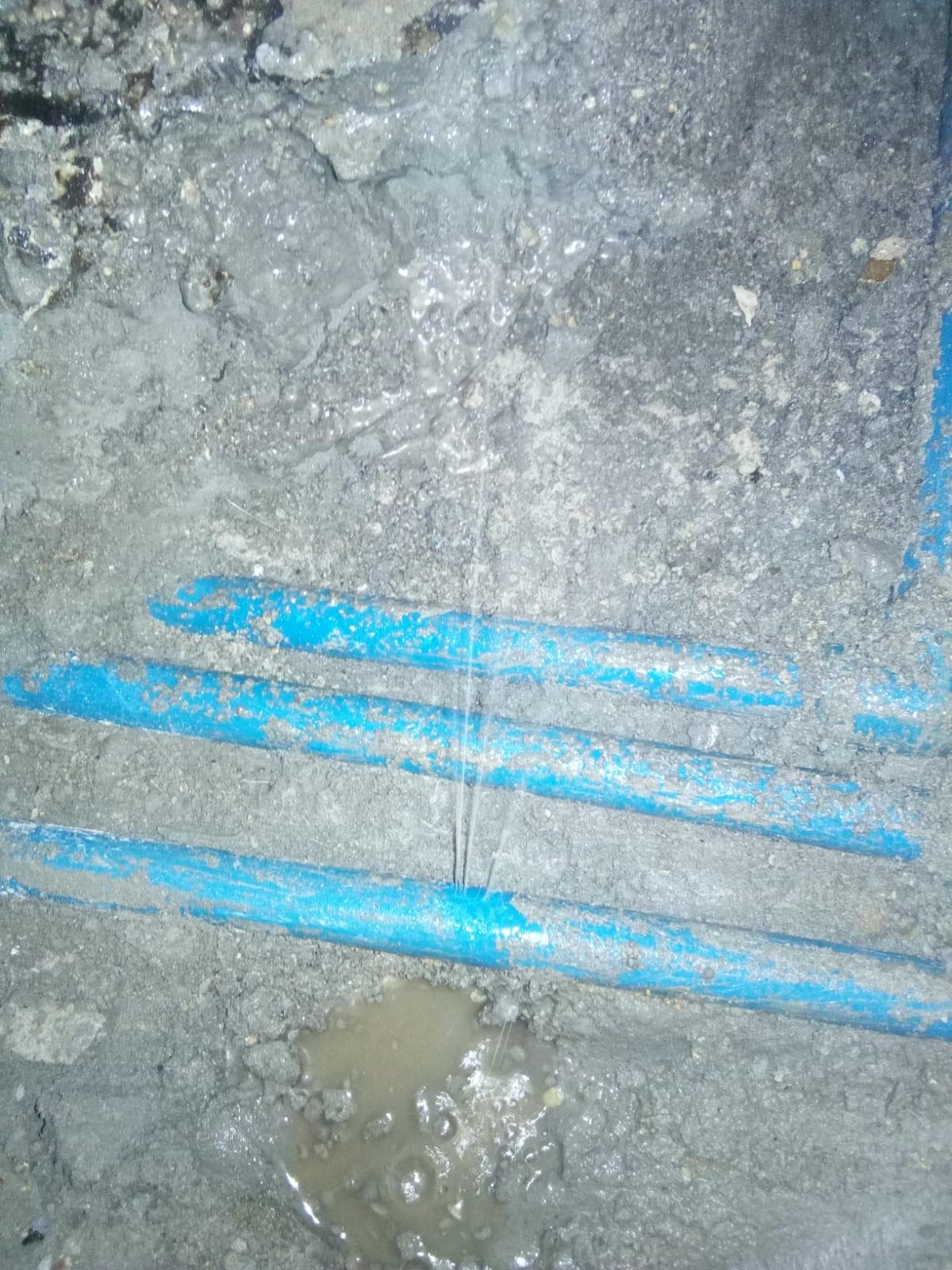 A device for detecting waste and water leaks, a camera and examining sewage 1