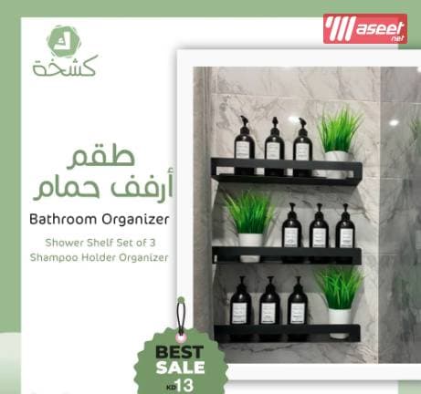 A set of shelves for a bathroom organizer  1