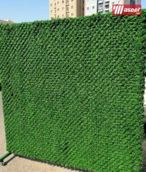Abu Ahmed landscaping 2