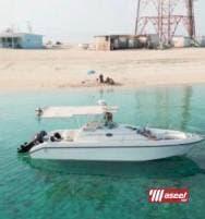 cruiser for rent 2