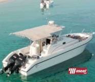 cruiser for rent 3
